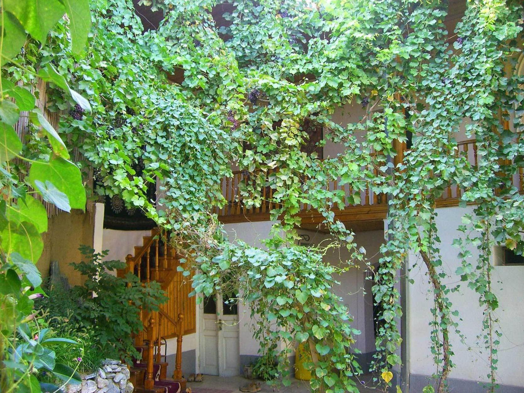 Jahongir Bed & Breakfast Samarkand Exterior photo